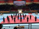 z4024714577545_1813d923ffaba60856749d7c372b8bc5.jpg - 