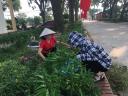 ảnh lao động 1.jpg - 