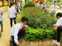 hs lao động.jpg - 