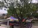 toan canh.jpg-1 - 